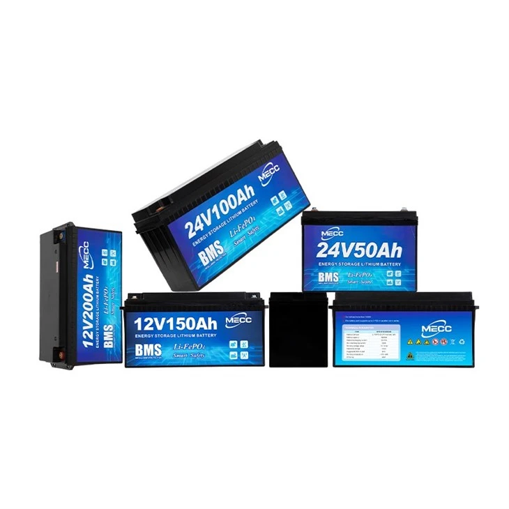 BMS 12.8v 100ah Lifepo4 Battery Pack